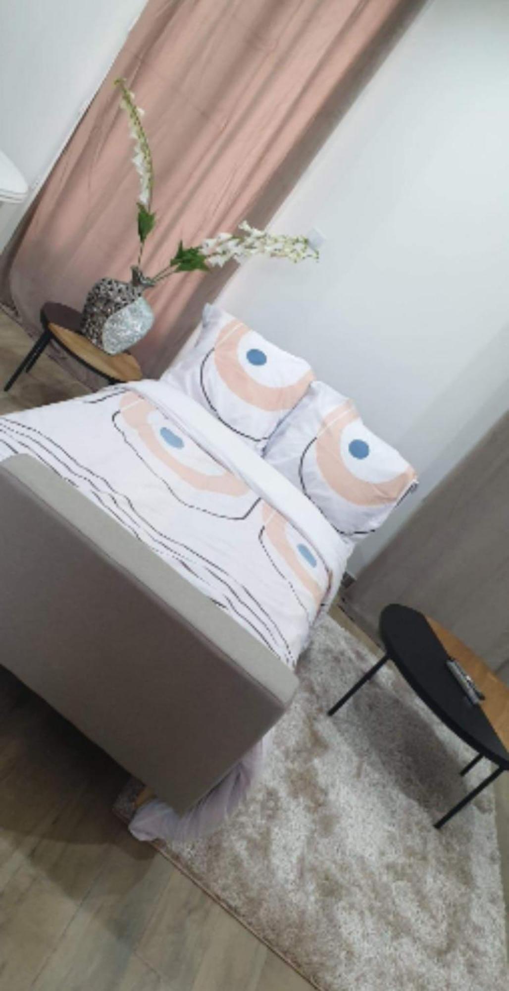 Les Suite Appartement A Chalon Sur Saone Cameră foto